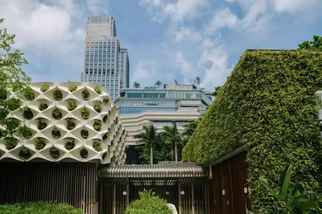 k11musea官网50周年庆,k11musea时尚活动