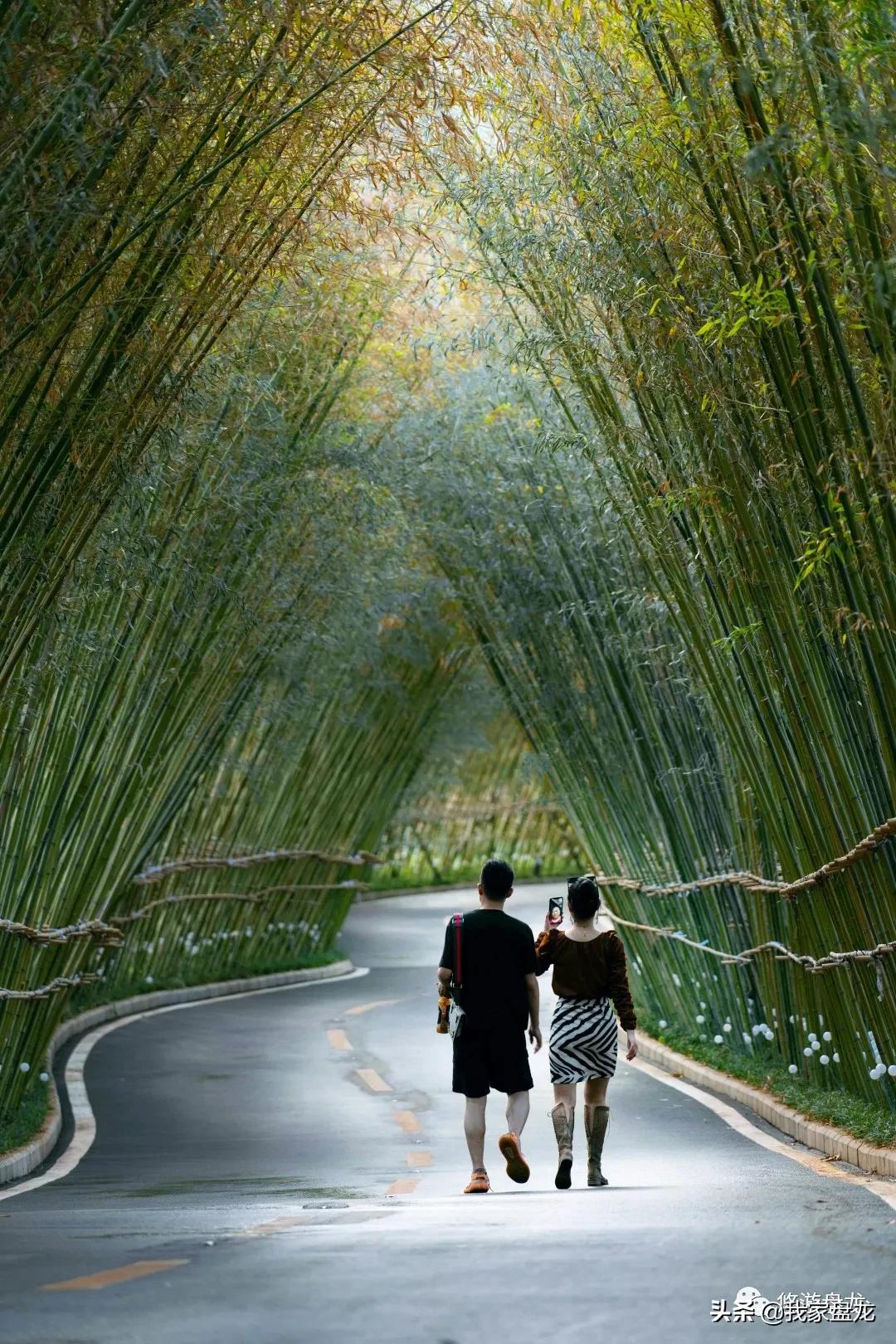 100张照片一百种幸福,100张图片带你去云南