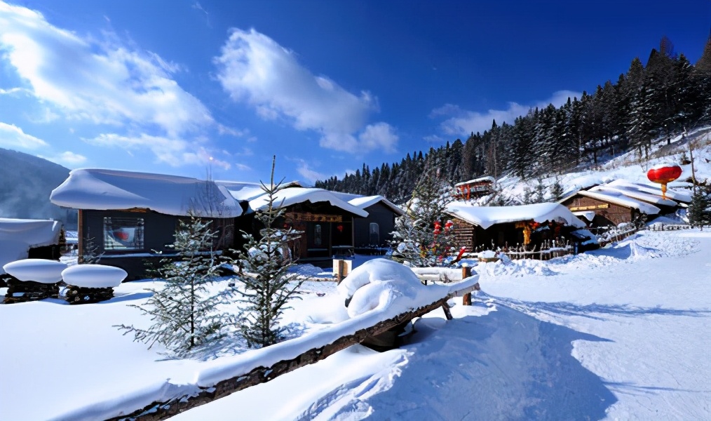 黑龙江十大最好的小学,黑龙江最好的小学排名