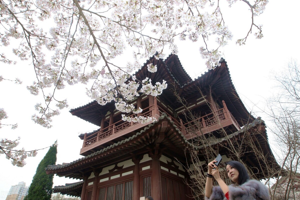 西安旅游攻略适合亲子游的地方,西安最适合亲子打卡的旅游胜地
