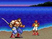 md战棋游戏,md双人游戏