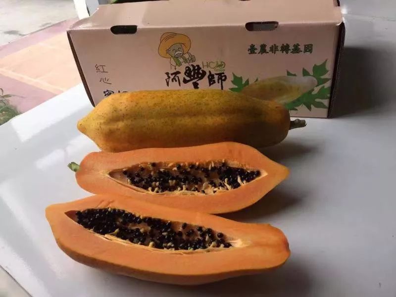 福建长汀最好玩的地方在哪里,福建长汀最好玩的地方在哪里呀