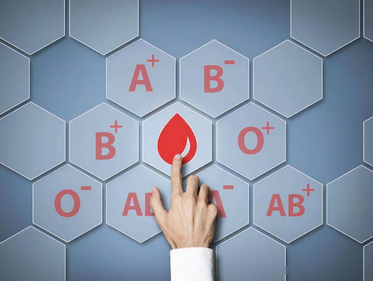 a型b型o型ab型哪种血型的人更长寿,a型b型o型ab型哪种血型更健康