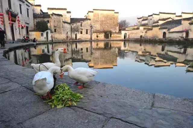 十大最美文化古村落,十大最美村镇