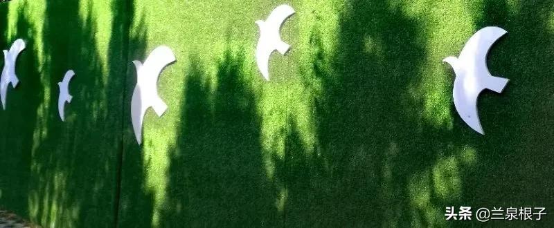 立冬自然风景,立冬雪景山水风景视频