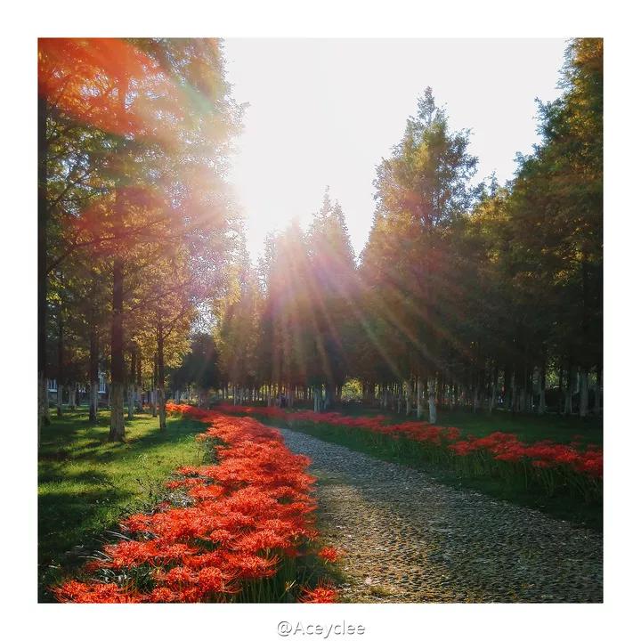 江苏省省长河海大学,江苏省河海大学