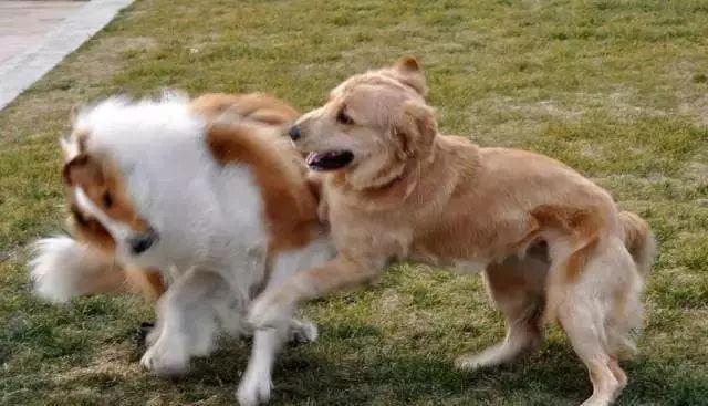 各国酒驾处罚方式新加坡,新加坡酒驾怎么处罚