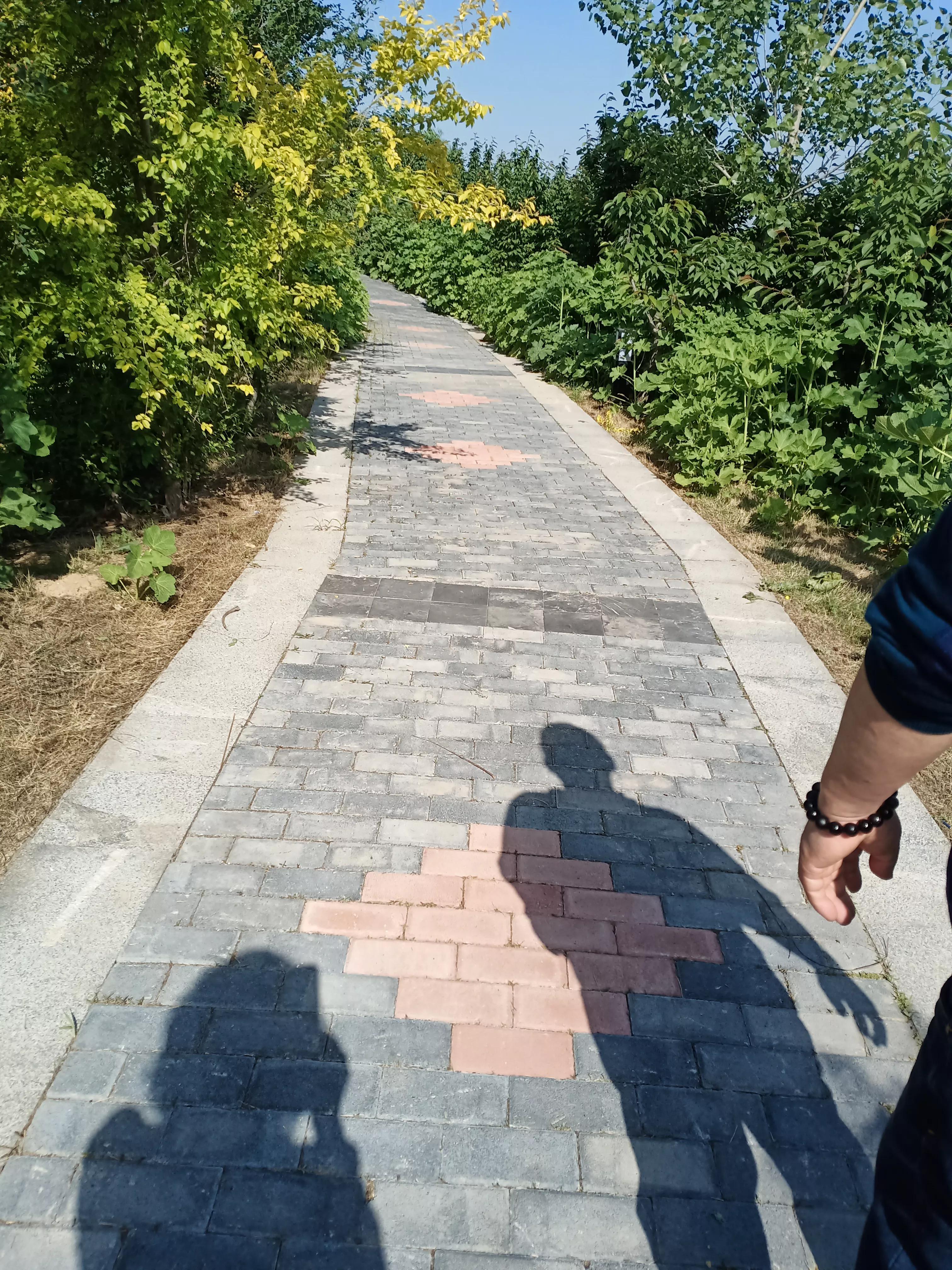 濮阳龙山公园有啥好玩的,濮阳龙山公园在什么地方