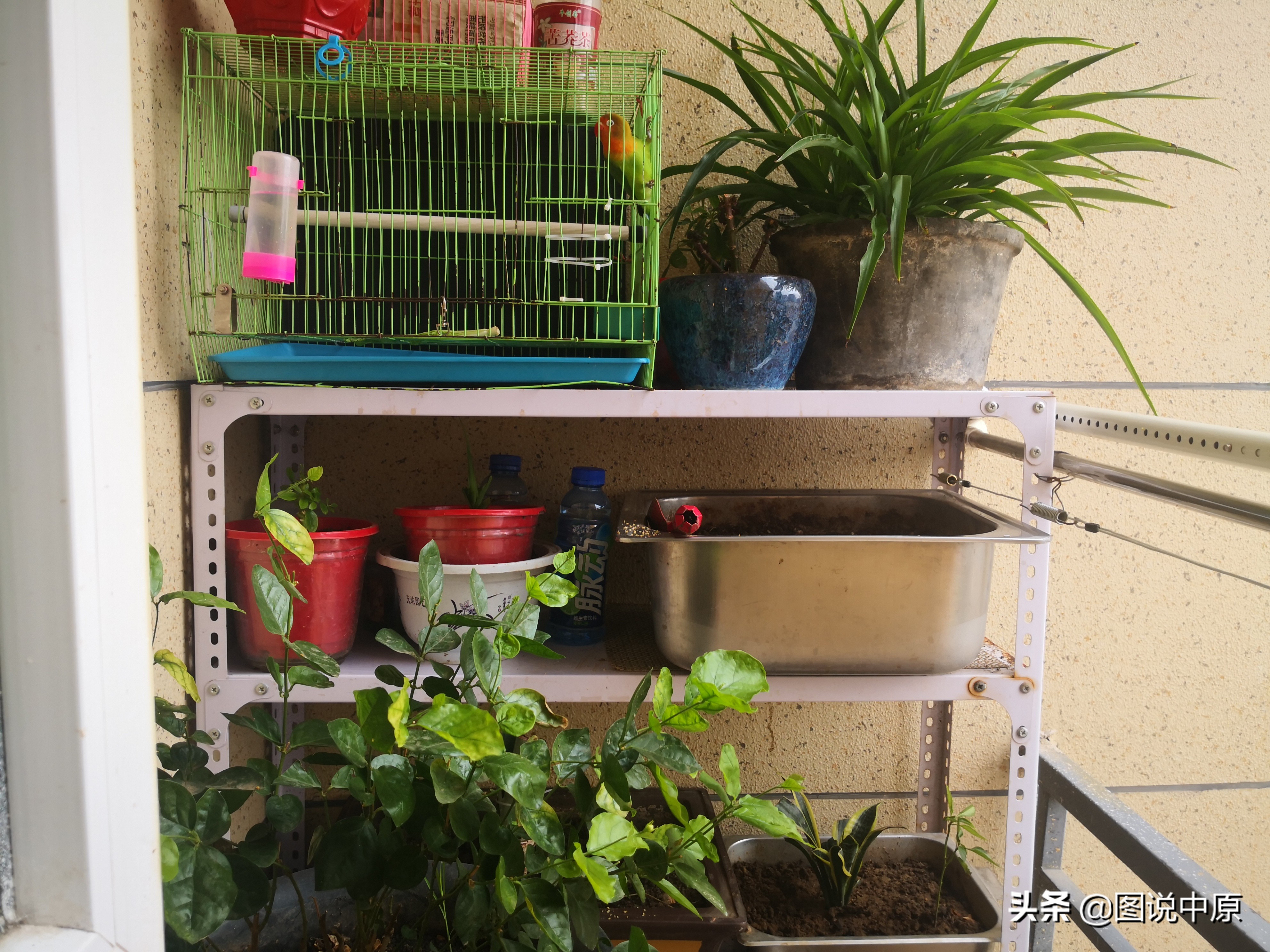 申请公租房丢人吗,没房子住公租房丢人吗