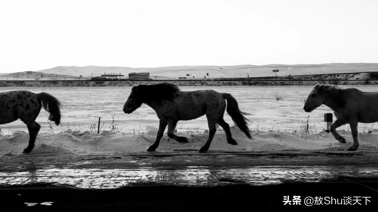 感受不一样的惬意生活,给我们惬意的美好时光