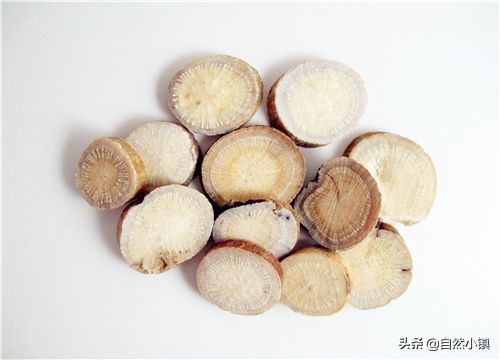 白芍的种植技术和种植前景如何,白芍种植技术及亩产效益