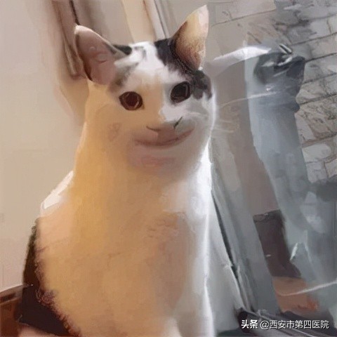 变美攻略适度的毛孔清洁,探索变美小技巧解决肌肤问题