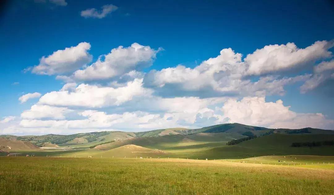 爱旅游的朋友注意了！天津周边藏着的10个草原，不玩一趟太亏