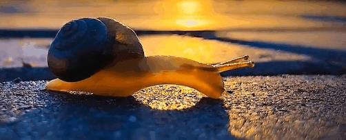 疫情面前熬不下去时就看看他们