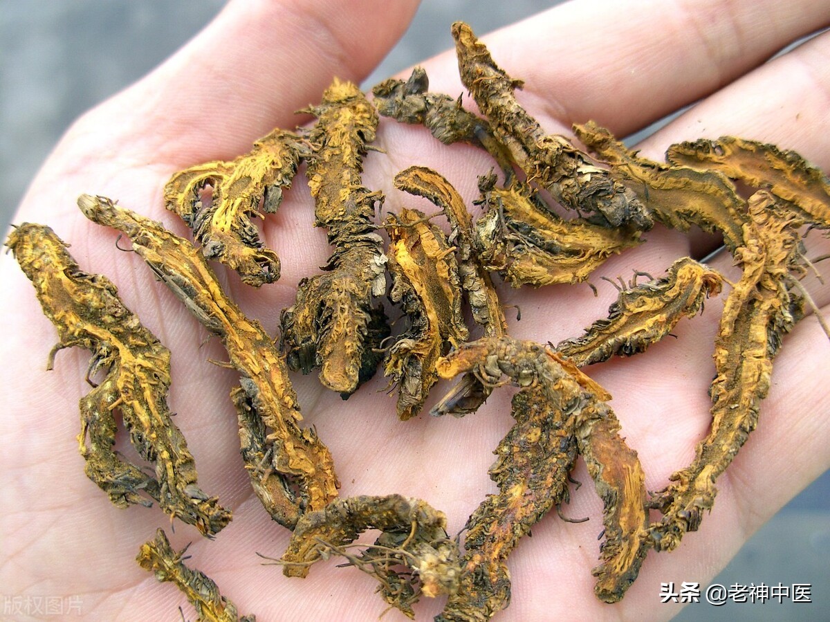 锻炼减肥逆转高血压中期,高血压减肥健康运动方案