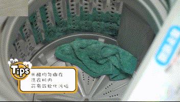 饮水机里面的水比马桶还脏,饮水机里的水比马桶里的水还要脏