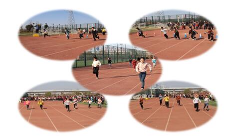 三棵树学校运动会,三棵树小学运动会