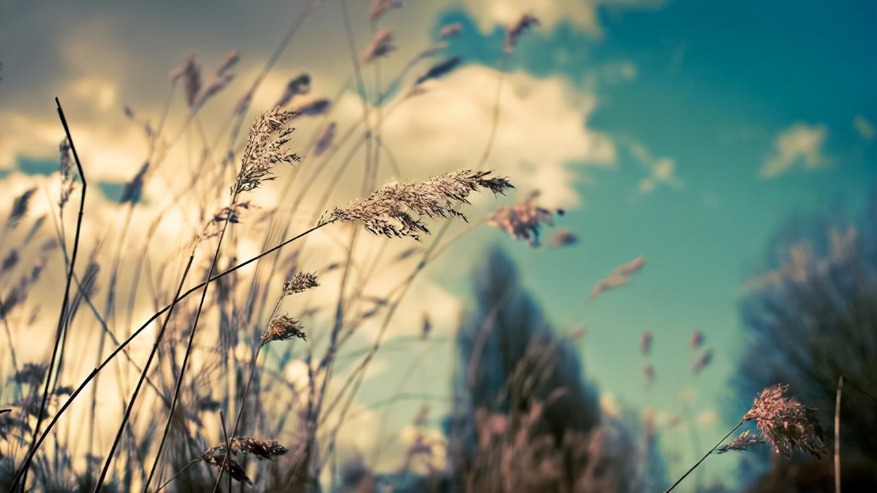 沉稳内敛心思细腻的星座,性格圆滑很会左右逢源的四大星座