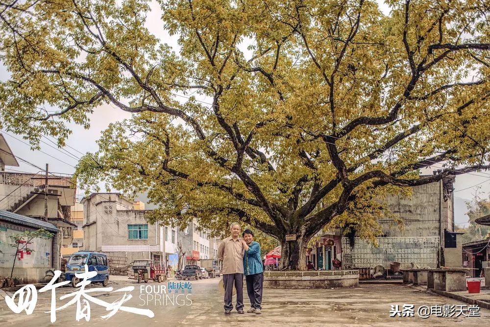 2019年度十大国产烂片盘点,2019上半年烂片扎堆