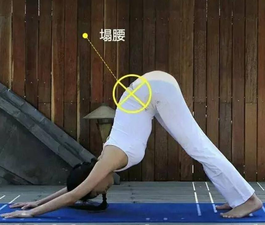 下犬式的脚后跟可以着地了,下犬式脚后跟触地