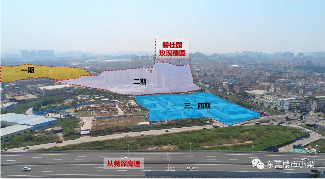 东莞市碧桂园玫瑰臻园,疫情后楼盘首开