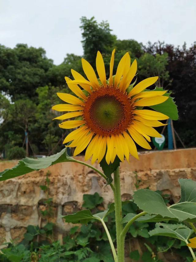 生完孩子后跟老公一起去分房,生完孩子后就一直和老公分床睡