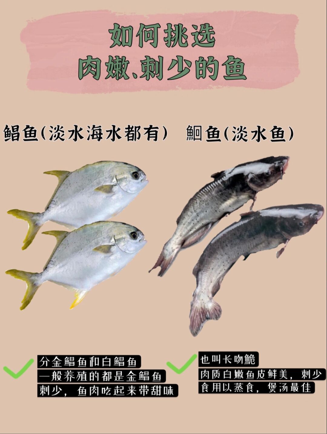 烤鱼选什么鱼刺少,有刺和无刺的鱼哪种好