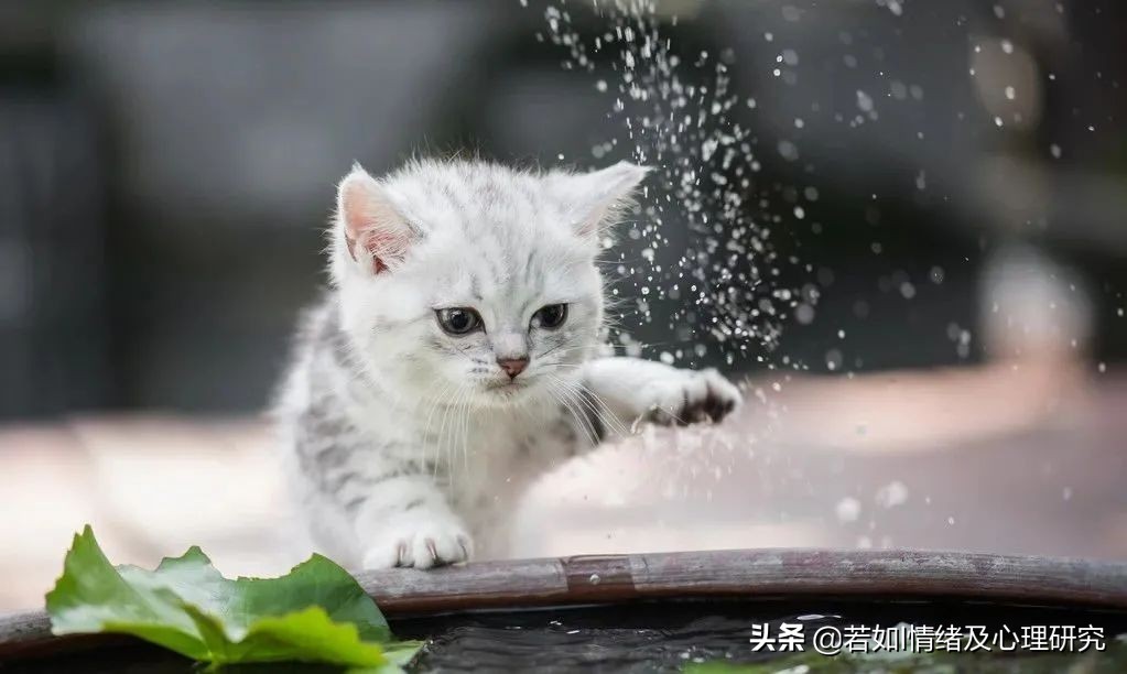 如何处理内心的孤独,我们该如何处置内心孤独