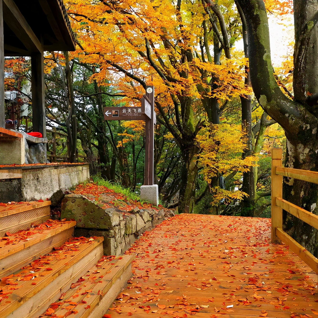 巴中光雾山红叶的最佳时间,红叶谷打卡地