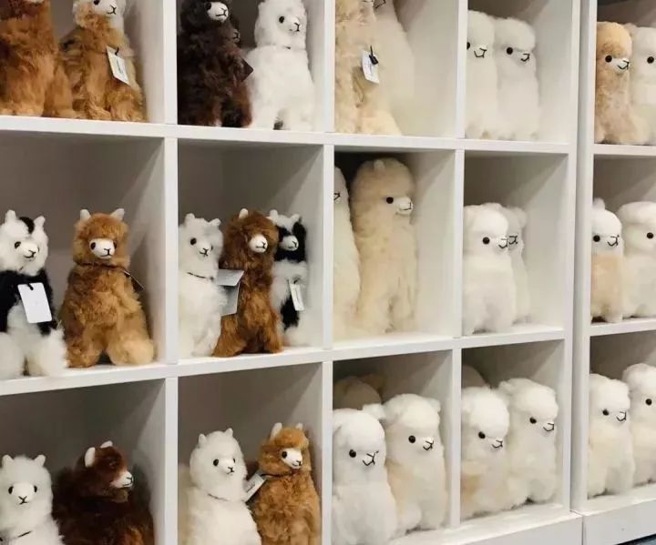 盘点|全球各大机场都有哪些值得买的伴手礼？