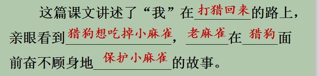 部编四上语文麻雀优质课课堂实录,四年级语文上册麻雀教学设计