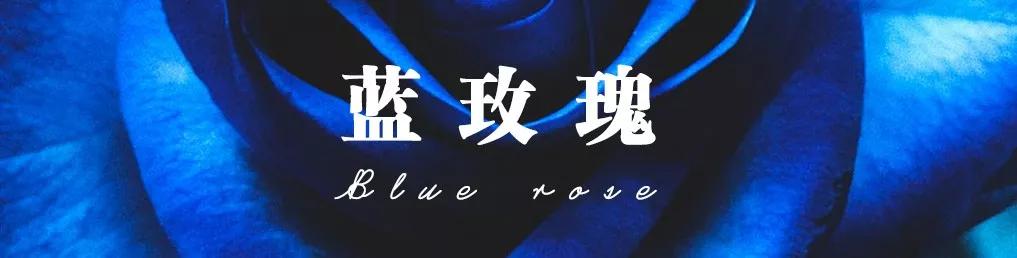 一篇文章带你认识三亚40种花,鲜花图鉴一次性认识30种玫瑰花