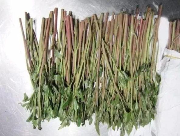 在校生贩卖二类精神类药品,在校女生交友不慎吸贩毒品获刑