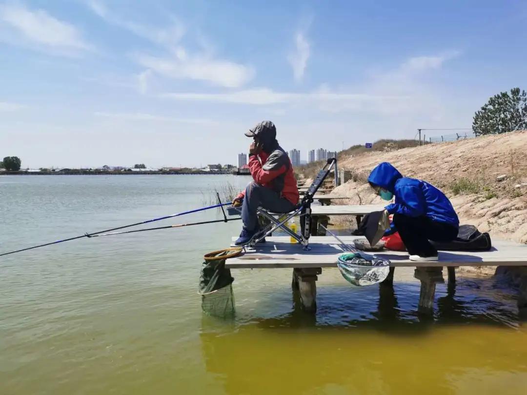 初夏去花海好玩吗,初夏去海边好玩吗