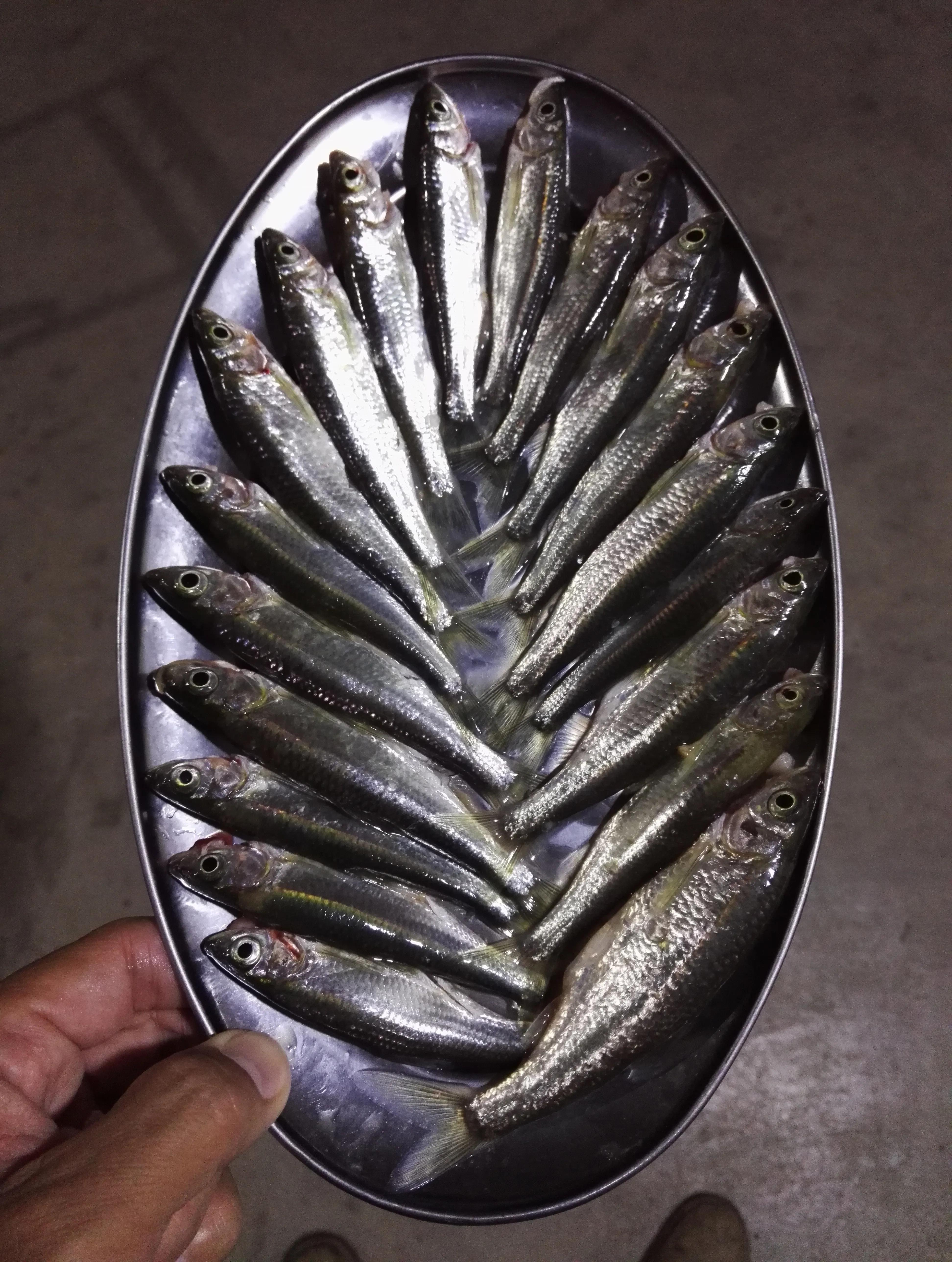 曾经特别火的拍照手机,那些年的拍照手机