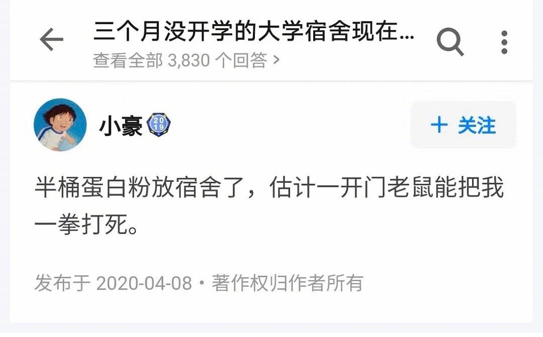 开心一刻小兔请老虎吃饭,开心一刻兔子买萝卜