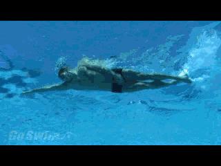 自由泳提速的七个建议,50米自由泳提速教程