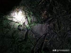 夜钓怎样防蛇进身边,夜钓防蛇最简单方法