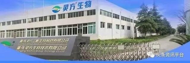 两天发展437个会员，药直购平台的“两级返佣”制度竟如此神奇？