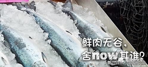 now猫粮和go猫粮,猫粮分析