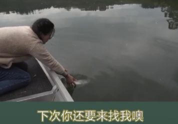 濂藉澶у摜閽撻奔瑙嗛,濂藉澶у摜