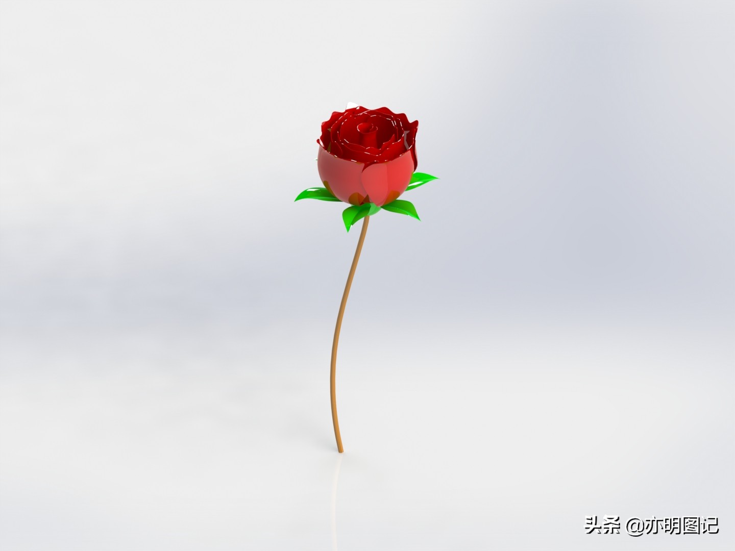 solidworks玫瑰花建模教程,玫瑰花建模solidworks尺寸图