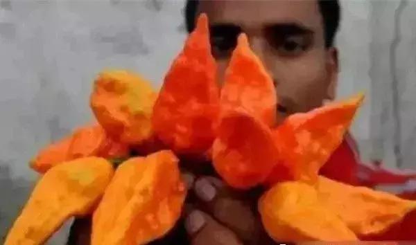 全世界辣椒排行榜前十,世界上十大辣椒排行榜