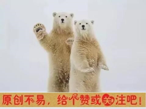 衡水中学第一名,衡水中学逆袭被曲解的30年