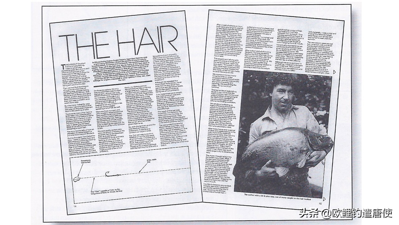 欧鲤钓必须用弯背钩吗,欧鲤钓真的那么厉害吗