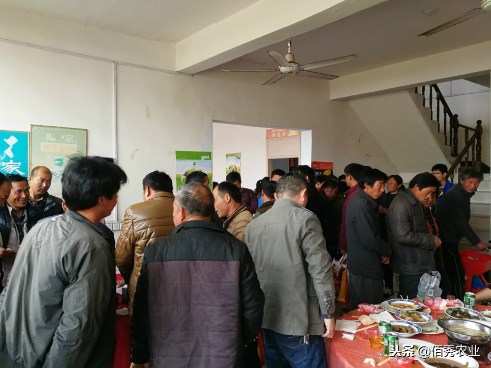 高价不高效，“保健品”式农资销售模式能走多远，农民真好忽悠？