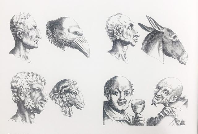 判断犯罪者的面相,面相判断犯罪人的标准有哪些