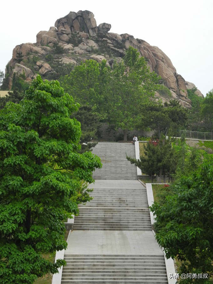 经验分享百强榜,青岛二中顶尖学子