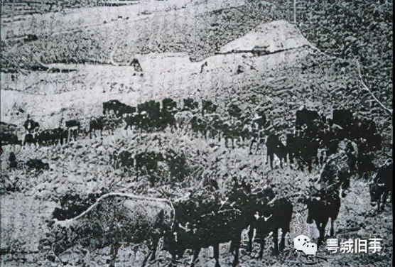 燕塘牛奶和风行乳业,燕塘风行乳业最新消息