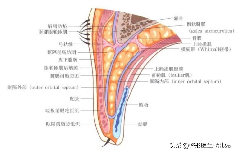 筋膜提眉术后遗症有多严重,提眉手术固定筋膜有后遗症吗